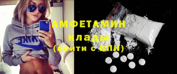 прущие грибы Бородино