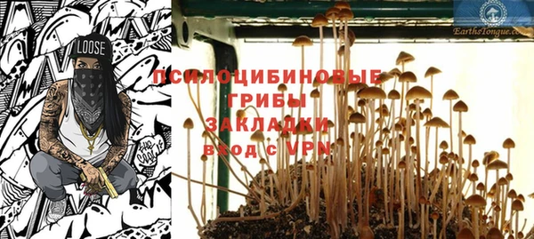 прущие грибы Бородино