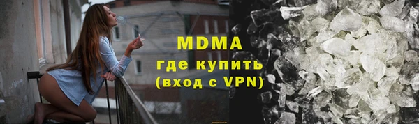 прущие грибы Бородино