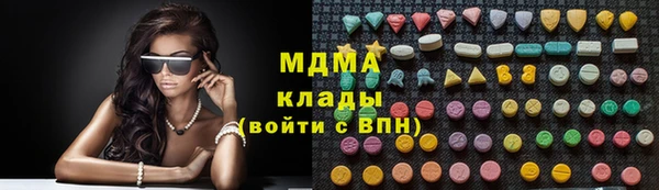 прущие грибы Бородино