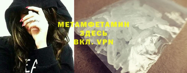 прущие грибы Бородино