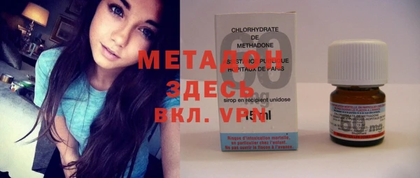 прущие грибы Бородино