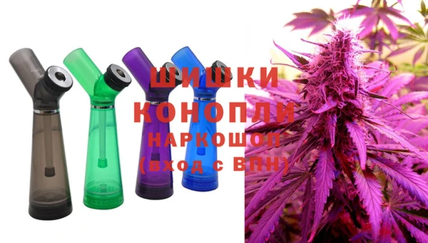 прущие грибы Бородино