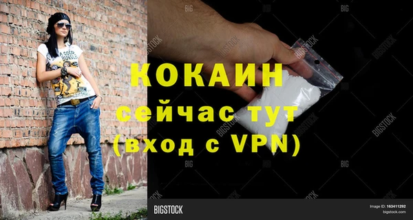 прущие грибы Бородино