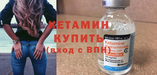 прущие грибы Бородино