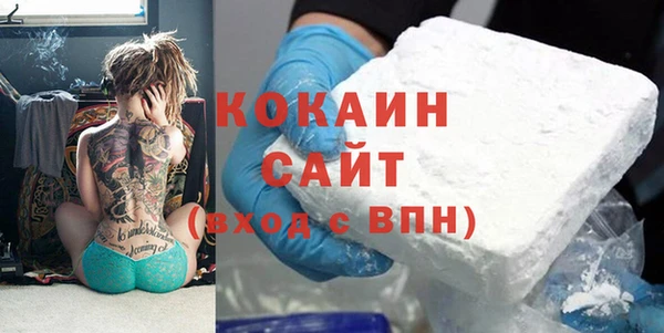 прущие грибы Бородино