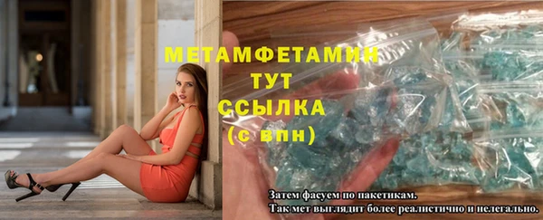 прущие грибы Бородино