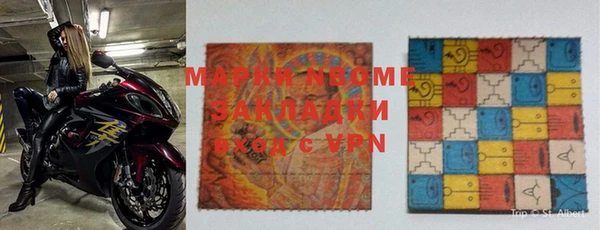 прущие грибы Бородино