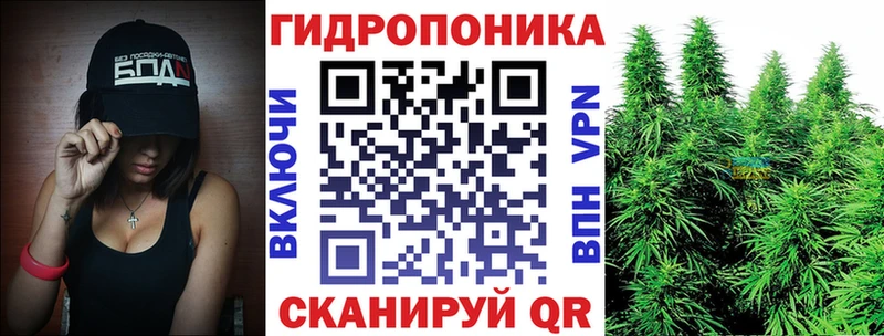 Бошки Шишки гибрид Вологда